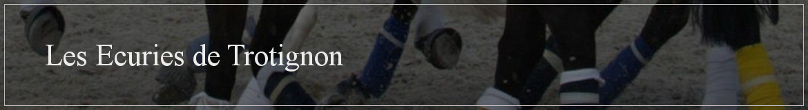 Les Ecuries de Trotignon